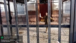 Кто громил посольство России в Киеве: эксклюзивное видео с лицами погромщиков