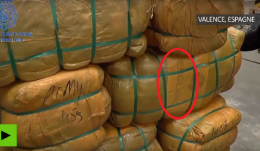 Полиция Испании арестовала военный груз для ИГИЛ