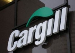 Садки вишневі коло хати в аграрной сверхдержаве Украина?