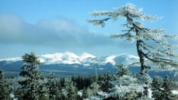 СМИ: остров Сахалин в южнокорейском учебнике включили в состав Японии
