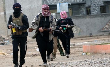 Государство-химера