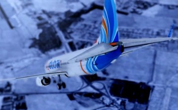 Гибнущие пилоты и пассажиры FlyDubai "нечеловечески кричали"
