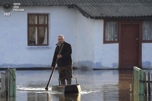 Лысая самостийность. Как скоро Украина останется без лесов?