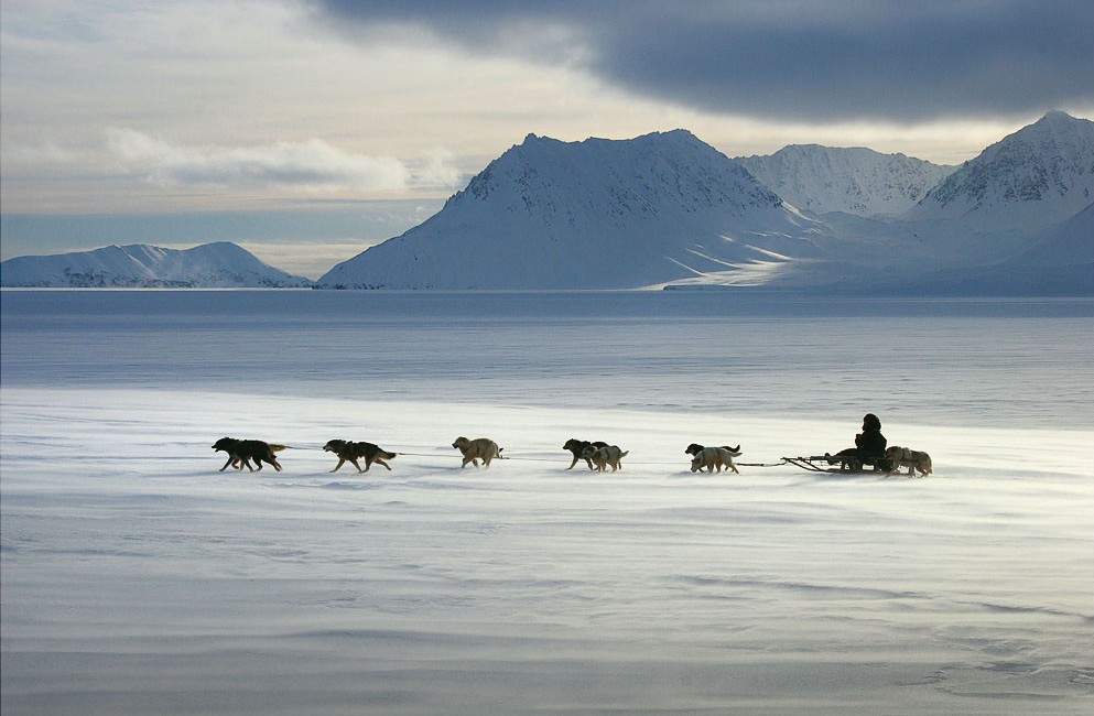 Чукчи - свирепые воины Севера Чукчи - свирепые воины Севера