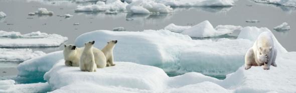 Любопытные истории слов и выражений Любопытные истории слов и выражений