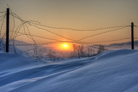 Любопытные истории слов и выражений (окончание)