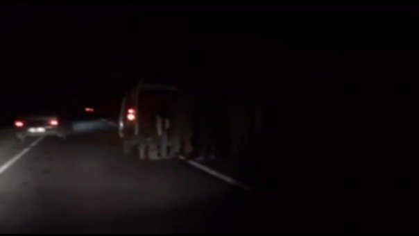 Пьяные ВСУшники попали в ДТП на трассе, жертвами которого стали 8 человек