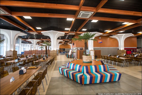 Артековская столовка Артековская столовка