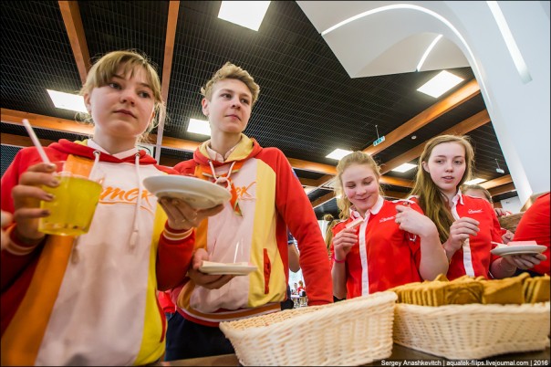 Артековская столовка Артековская столовка