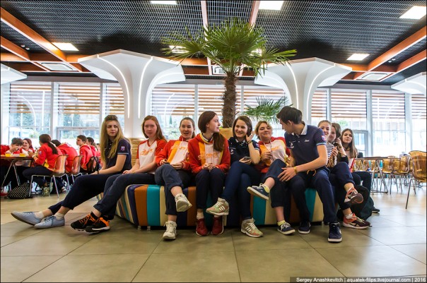 Артековская столовка Артековская столовка