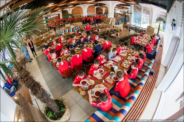 Артековская столовка Артековская столовка