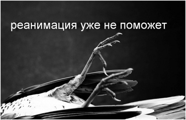 Бесполетная зона для ВВС США уже создана. Юрий Селиванов