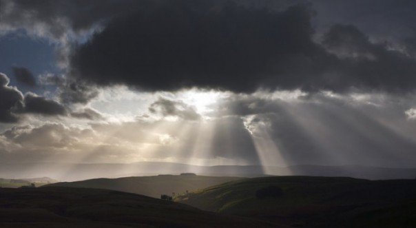 Президент РФ всех их рассудит