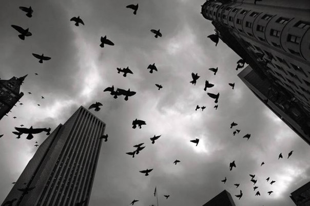 Самоубийства в США 1999-2014 Самоубийства в США 1999-2014