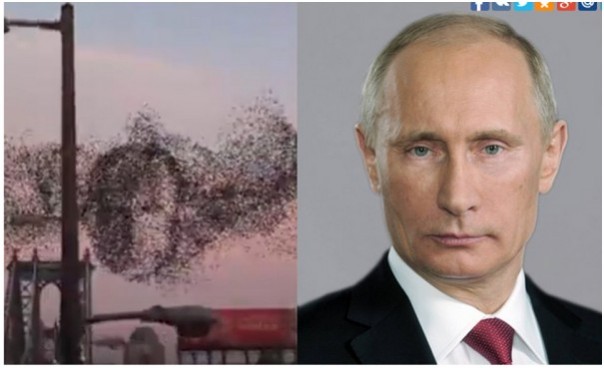 Киевский режим признал свою недееспособность. Юрий Селиванов Киевский режим признал свою недееспособность. Юрий Селиванов