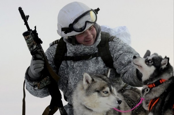 Как "ватная армия Путина" порвёт НАТО