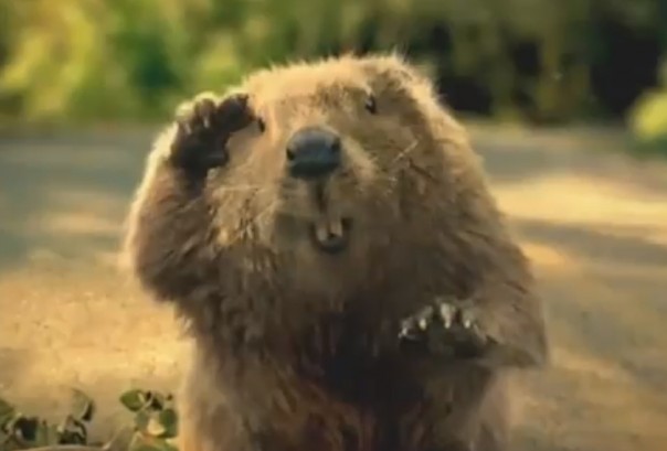 Как спасти заложника: в Даугавпилсе мужчина попал в плен... Как спасти заложника: в Даугавпилсе мужчина попал в плен...