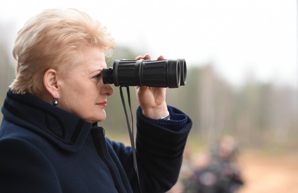 Как Литва и Польша выдают проигрыш Запада