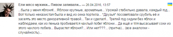 Колония одноразового использования