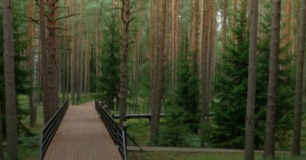 Правда о Катыни