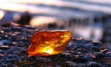 Битва за янтарь в Ровно как зеркало перспектив украинской государственности. Александр Запольскис