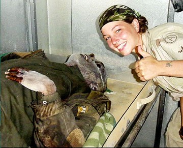 НАТО: 65 лет альянсу. Вспоминаем заслуги.