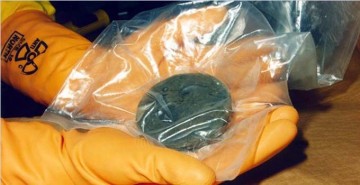 Власти Южной Каролины поддержали в суде сторону России