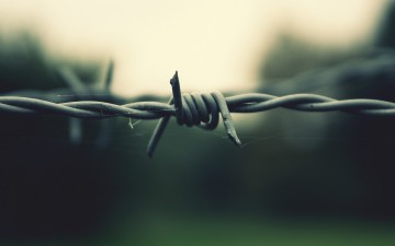 Чем руководствуется глава НАТО в войне против России?