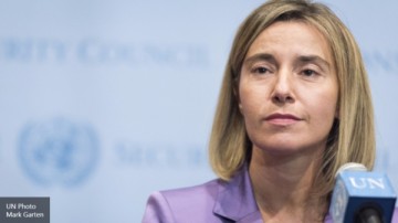 Могерини поддержала Гройсмана по телефону