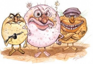 Знай врага в лицо!