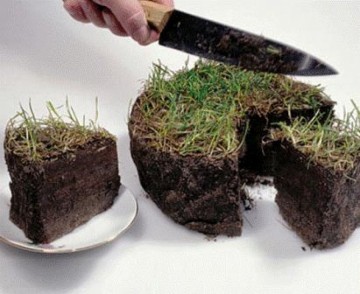 Украинцев приучают к мысли: Земля будет продана, смиритесь