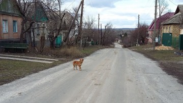 Для выборов в Донбассе Киев требует восстановить вещание украинских каналов