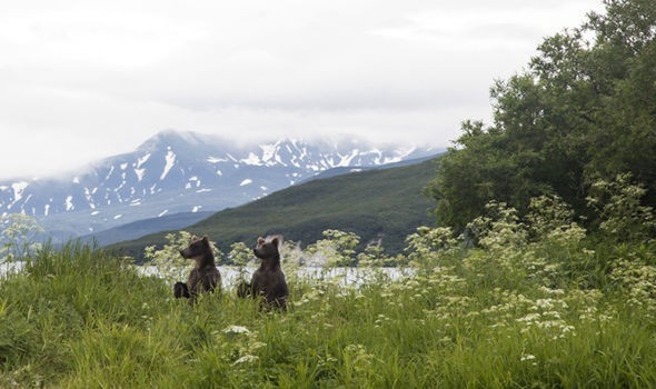 Express: 80% британцев готовы переехать в РФ, если им дадут бесплатно землю Express: 80% британцев готовы переехать в РФ, если им дадут бесплатно землю