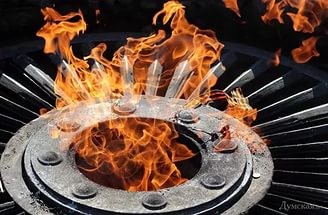 С гвардейской лентой – за деда, за Победу и против упашни!