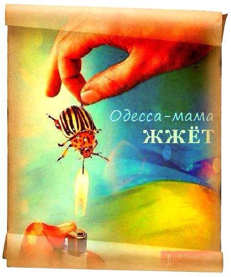 С гвардейской лентой – за деда, за Победу и против упашни!