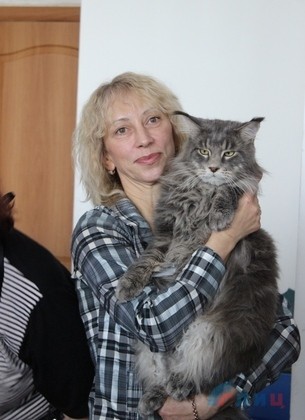 Заводчики из ЛНР и ДНР представили на выставке в Луганске более 40 котов и кошек 