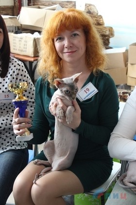 Заводчики из ЛНР и ДНР представили на выставке в Луганске более 40 котов и кошек 