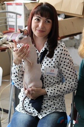 Заводчики из ЛНР и ДНР представили на выставке в Луганске более 40 котов и кошек 