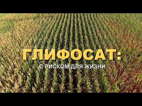 Глифосат: с риском для жизни