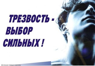 Старшеклассники «Артека» проводят уроки на винзаводе: «Учительнице географии не наливать»