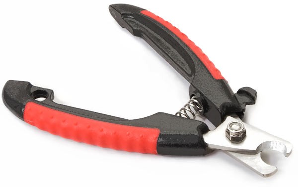 Злой попугай (истории) Злой попугай (истории)