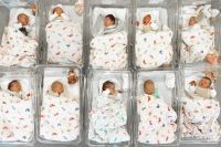 Дельфин шагает по Ростову. Мешают ли детям редкие имена Дельфин шагает по Ростову. Мешают ли детям редкие имена