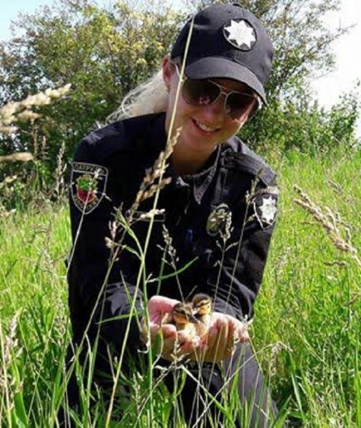 Попались!!! ;-))