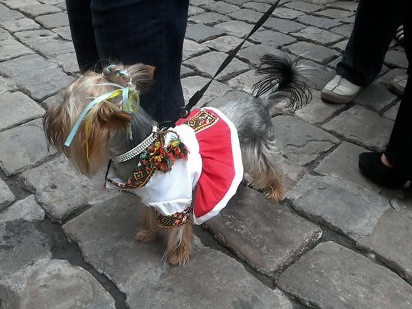 День вышиванки - гуляют все! День вышиванки - гуляют все!