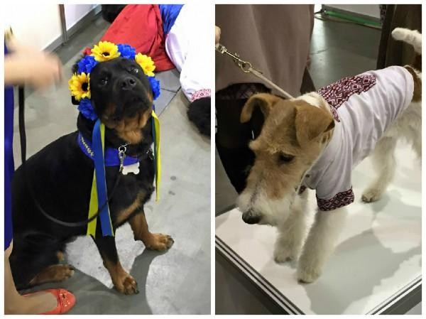 День вышиванки - гуляют все! День вышиванки - гуляют все!