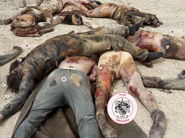 Обзор карты боевых действий и событий в Сирии и Ираке от 30.05.2016г.