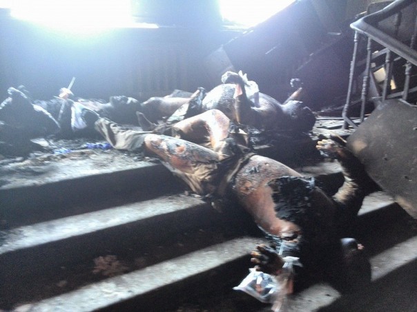 18+ Одесса помнит (фото и видео)