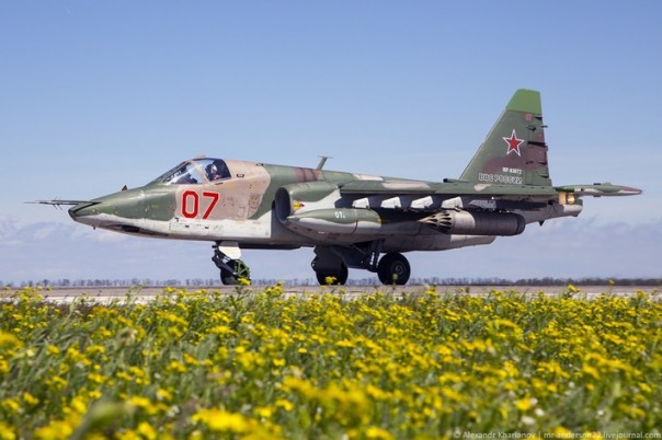 Южный «Авиадартс-2016» Южный «Авиадартс-2016»