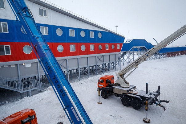 Арктический трилистник Арктический трилистник