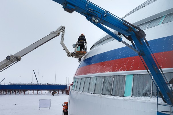 Арктический трилистник Арктический трилистник